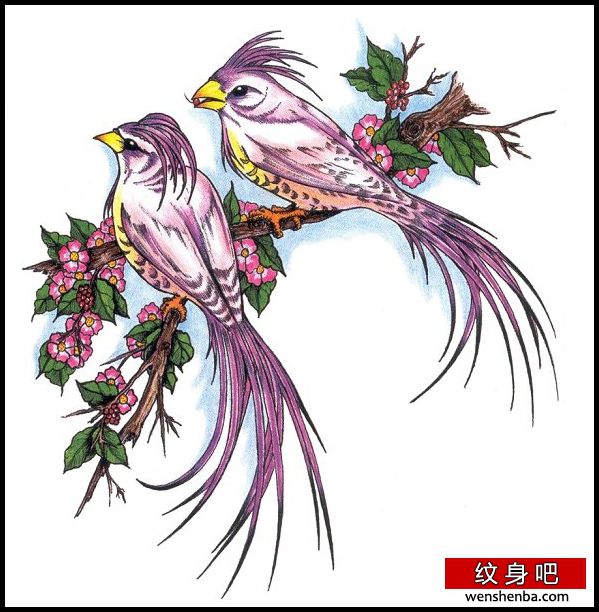 鸟类纹身喜鹊樱花纹身