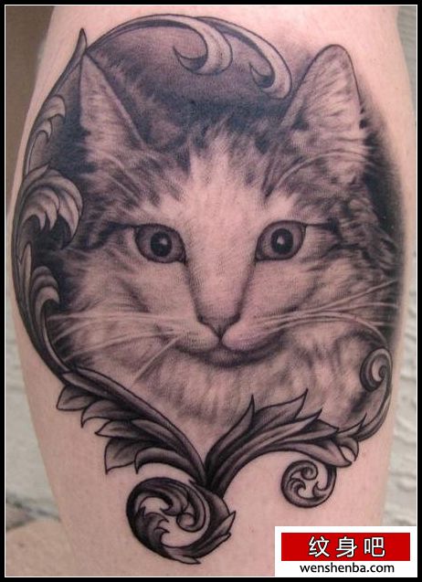 可爱的素描猫咪纹身