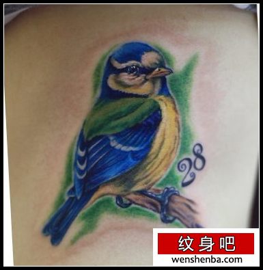 动物纹身彩色小鸟喜鹊纹身