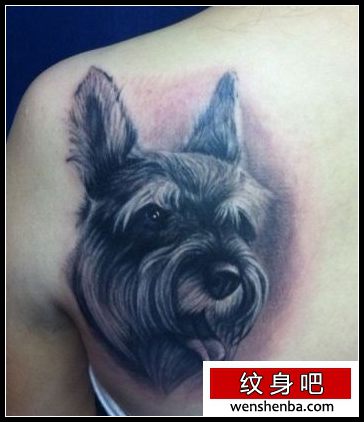 动物纹身肩部小狗肖像纹身