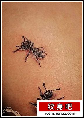 动物纹身撕皮小蚂蚁纹身