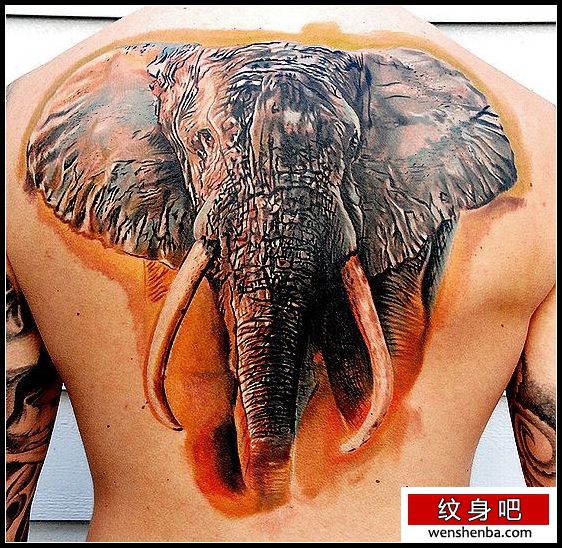 动物纹身背部3D彩色大象纹身