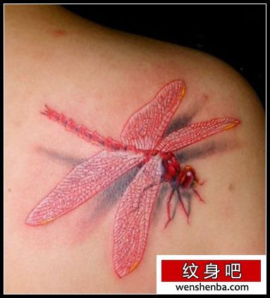 蜻蜓纹身肩部彩色蜻蜓纹身
