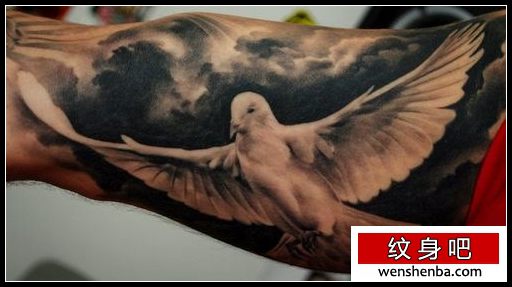 鸽子纹身手臂白鸽鸽子纹身