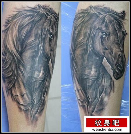 动物纹身腿部马纹身