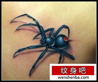 蜘蛛纹身权威背部彩色蜘蛛纹身