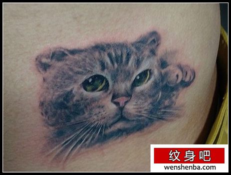 猫咪纹身腰部猫咪纹身