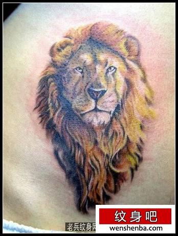 腹部狮子狮头纹身