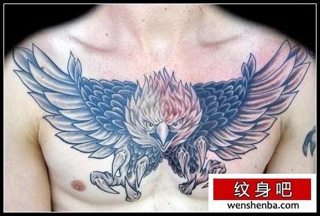 老鹰纹身胸部老鹰纹身