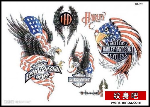 老鹰纹身老鹰翅膀纹身