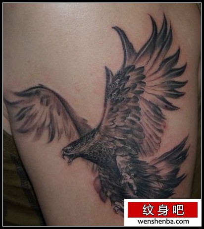 老鹰纹身一枚手臂展翅老鹰纹身