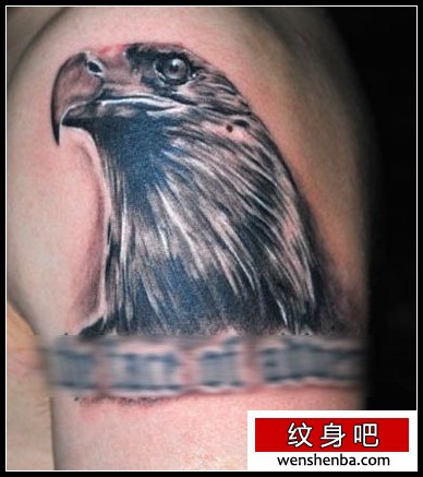 老鹰纹身一枚手臂老鹰头像纹身