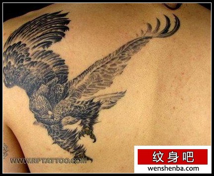 老鹰纹身肩部展翅的老鹰纹身