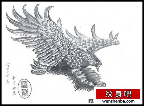 老鹰纹身雄鹰展翅纹身