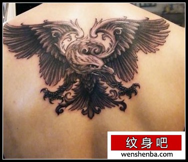 老鹰纹身后背老鹰纹身