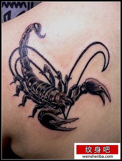 蝎子纹身一枚肩部蝎子纹身