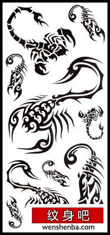 蝎子纹身几款帅气的图腾蝎子纹身