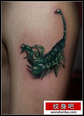 蝎子纹身一枚手臂彩色蝎子纹身