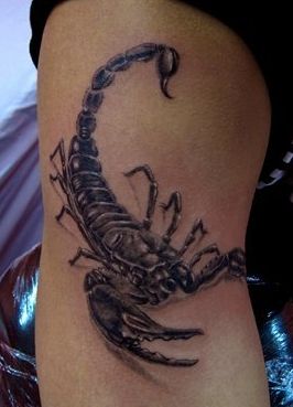 蝎子纹身图案一枚手臂蝎子纹身图案