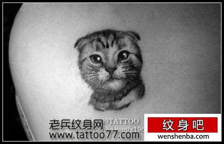 可爱的小猫咪纹身