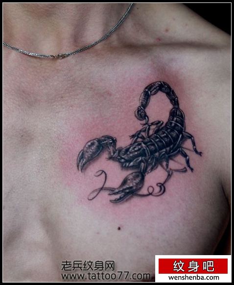 胸部权威的蝎子纹身