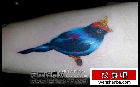 手臂彩色小鸟喜鹊纹身