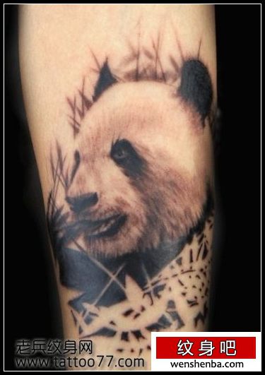 手臂可爱权威的熊猫纹身