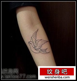 手臂精致时髦的燕子纹身