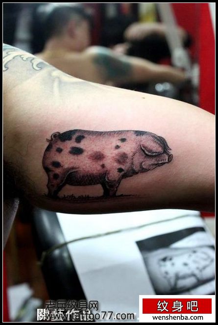 一枚的手臂猪纹身