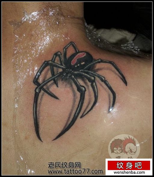时髦的背部蜘蛛纹身