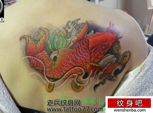 一枚靓女背部彩色鲤鱼纹身