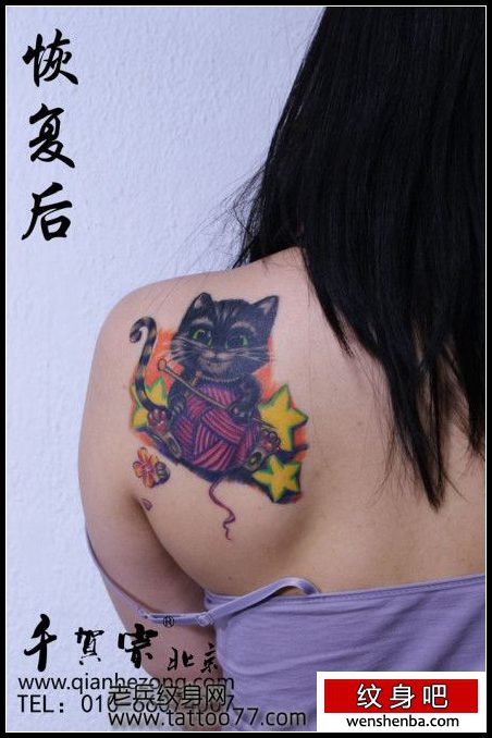 靓女肩部可爱精致的猫咪纹身