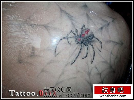 超酷的肩部蜘蛛蜘蛛网纹身