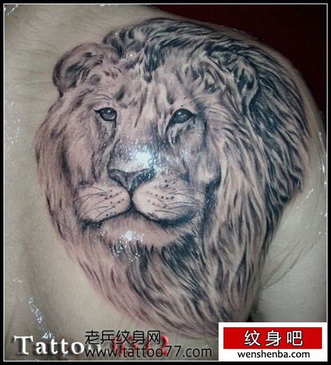 男性喜欢的背部狮头纹身