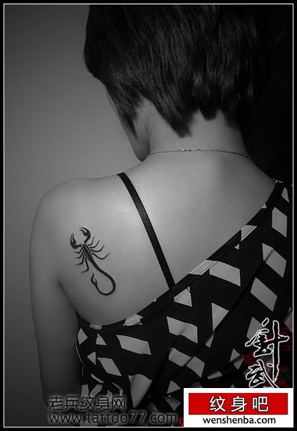 一枚女人肩部图腾蝎子纹身