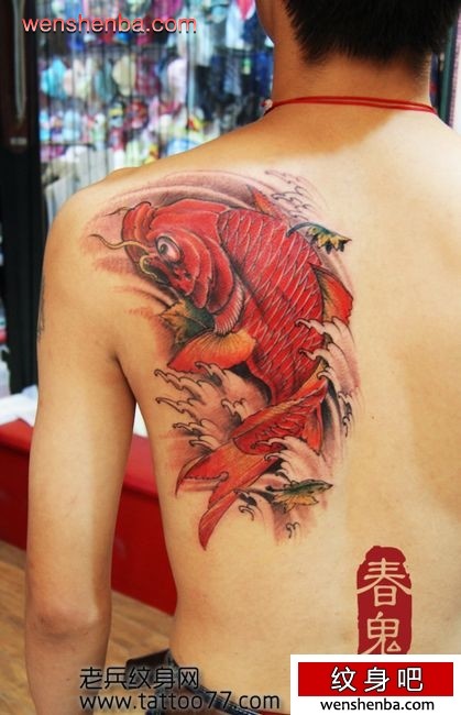 一枚背部好看的彩色鲤鱼纹身