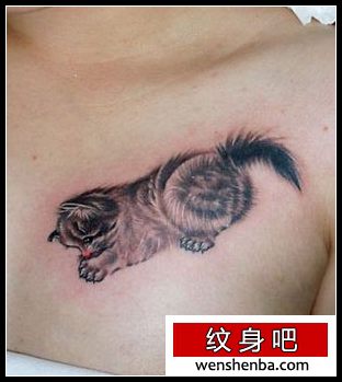 靓女胸部可爱的小猫咪纹身