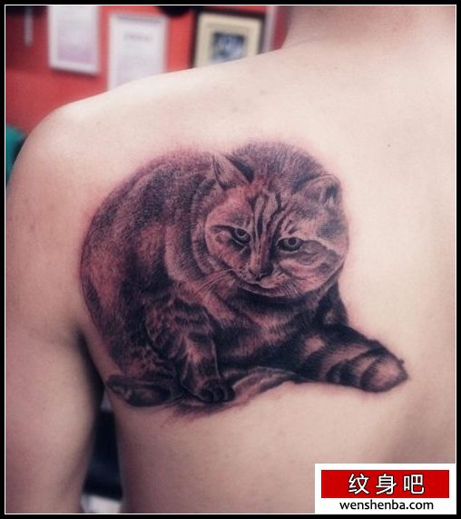背部好看可爱的猫咪纹身
