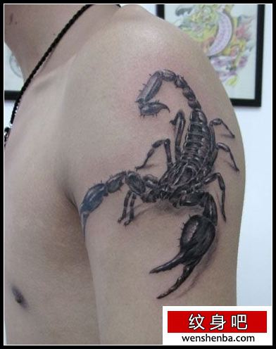 手臂帅气时髦的蝎子纹身