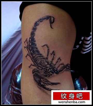 手臂权威帅气的蝎子纹身
