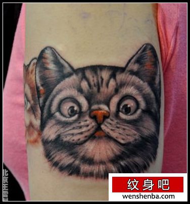 女人手臂可爱猫咪纹身