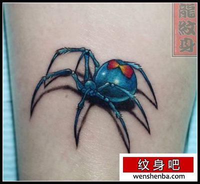 腿部好看的彩色蜘蛛纹身