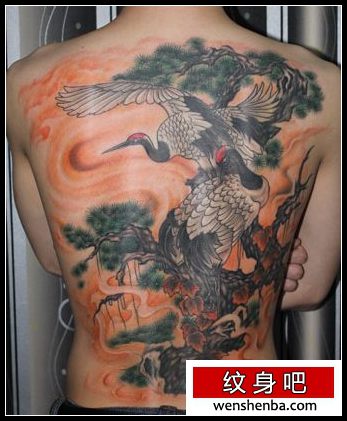 好看的满背白鹤仙鹤纹身