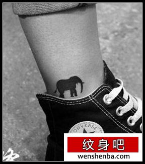 时髦前卫的腿部图腾大象纹身