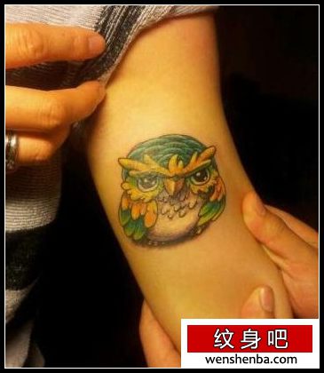 手臂超萌的猫头鹰纹身