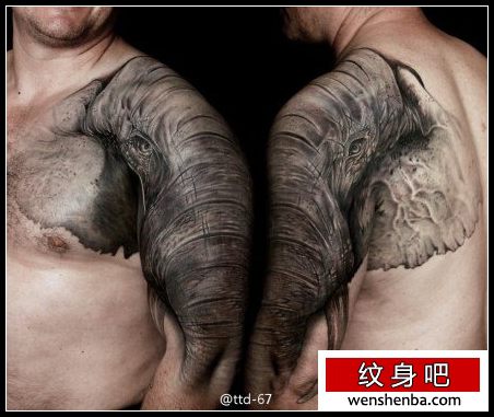 男性手臂与肩膀处超酷大象纹身