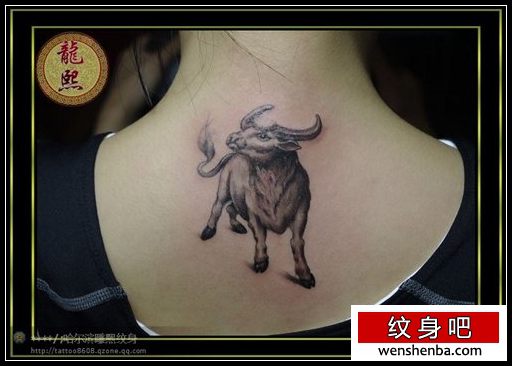 女人背部一枚公牛纹身