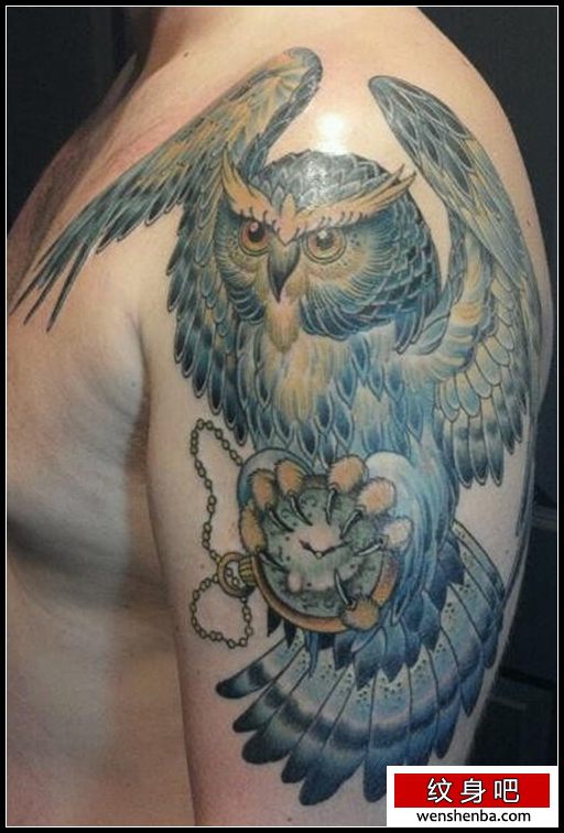 男性手臂一枚权威的猫头鹰纹身