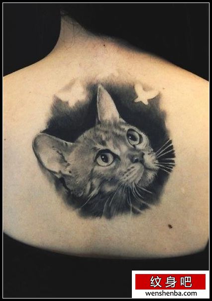 女人背部黑白素描猫咪纹身