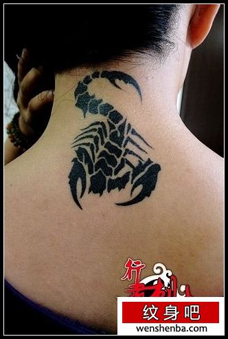 女人颈部权威的图腾蝎子纹身